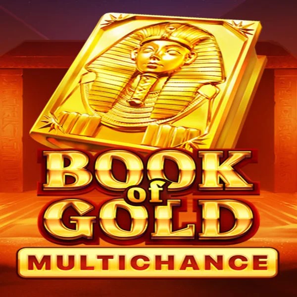 Book of Gold Multichance game by Playson – logo hosted on X3bet casino